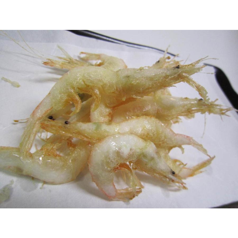 富山湾の白エビ(シロエビ) 使い切り100g 今年も極上 お刺身・から揚げ・かき揚げ・天ぷら 白えびの甘みをキトキト(新鮮）なまま一気冷凍 ...