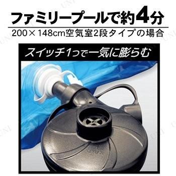 電動ポンプ AC電源ポンプ エアーポンプ ハック AC電源エアーポンプ