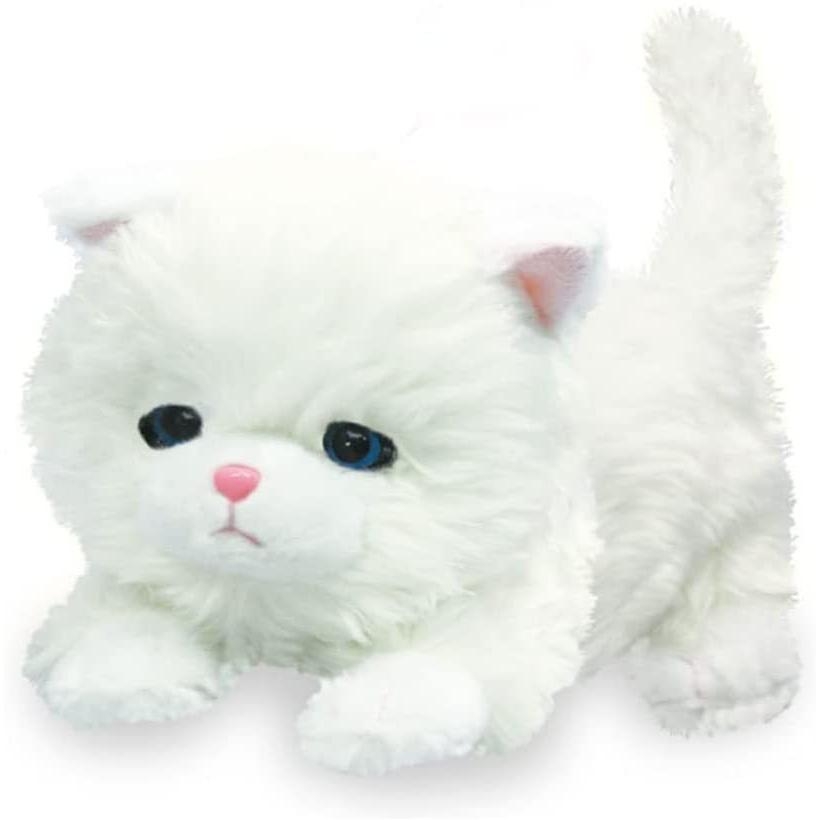 ねむねむにゃんこ ブランちゃん : トイメイト - 通販 - Yahoo!ショッピング