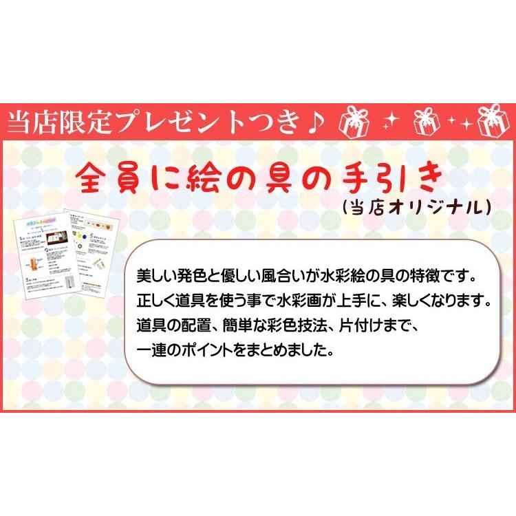 第1位獲得 絵の具セット 小学生 女の子 小学校 サクラ 画材セット 水彩セット 絵具セット おしゃれ かわいい 幼児 マット水彩マルチ ナチュラルラテ Columbiatools Com