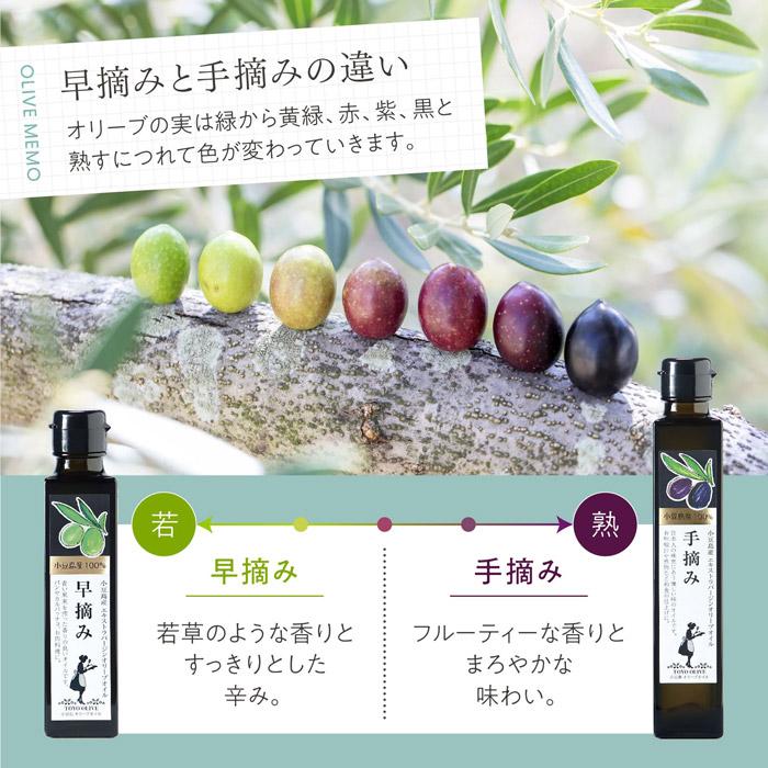 2025年度産新物】 小豆島産エキストラバージンオリーブオイル [手摘み