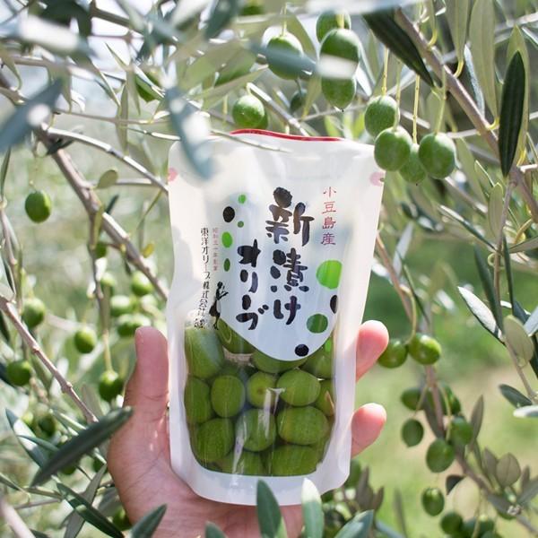 季節数量限定】小豆島東洋オリーブ 新漬けオリーブ 80g :F-1149:小豆島東洋オリーブ - 通販 - Yahoo!ショッピング 季節数量限定】小豆島東洋オリーブ 新漬けオリーブ 80g :F-1149:小豆島東洋オリーブ - 通販 - Yahoo!ショッピング