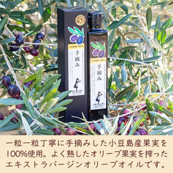 SOUVENIR オリーブグリーンと黒のストライプ異素材トップス ストライプ×異素材切替シャツチュニック - ベルーナ【公式】