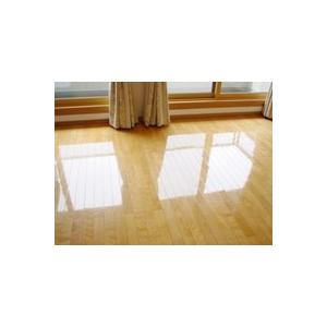 マキシマム ノンワックス床用ワックス 2kg : 東洋産業株式会社 フロア