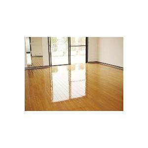 豪然たる雨合羽守る2kg＆洗浄剤1kg 仕かける