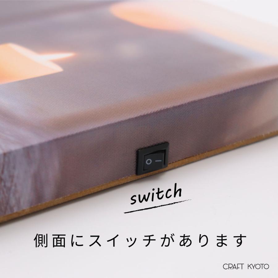 ファブリックパネル LED キャンバスアート Lサイズ キャンバス