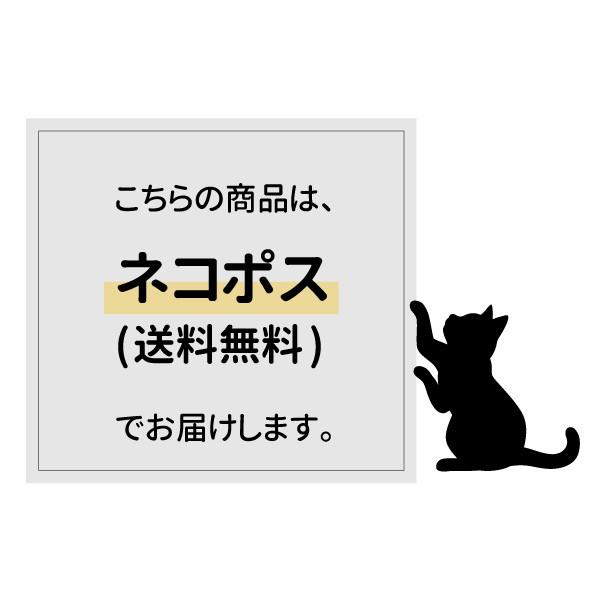 ネコポス 送料無料 マグネットフック かわいい セキセイインコ ブルー アニマルテイル Mh An 07 Craft Kyoto 通販 Yahoo ショッピング