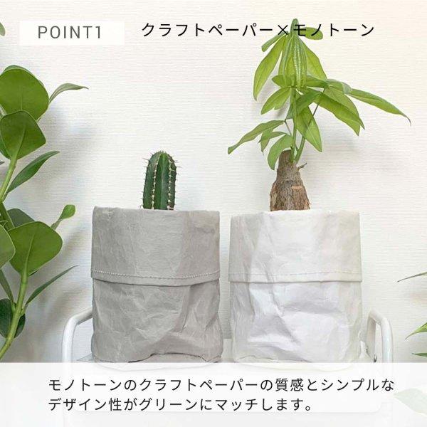Plant Plan プラントプラン プランターカバー S ペーパー 植木鉢