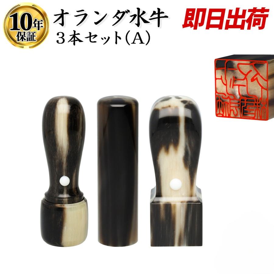 法人印鑑 セット 3本 オランダ水牛色付 印鑑 はんこ Aセット 即日発送 あすつく