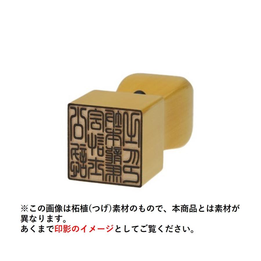 士業用印鑑 公認会計士 角印 職印 資格印 先生印 ブラストチタン スワロ アタリ付き 天角 21mm はんこ 印鑑 即日発送 中