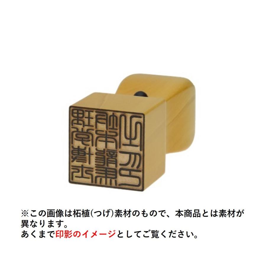 士業用印鑑 理学博士 角印 職印 資格印 先生印 ブラストチタン スワロ アタリ付き 天角 21mm はんこ 印鑑 即日発送 中