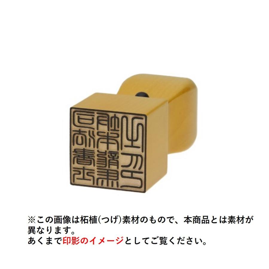 士業用印鑑 司法書士 角印 職印 資格印 先生印 ブラストチタン スワロ 