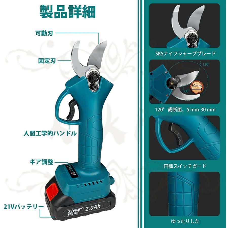 2021人気特価 アグリズ 店 プレミア保証付き マキタ 充電式剪定ばさみ