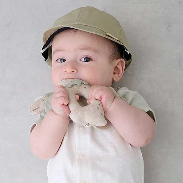 petit main プティマイン petit main 恐竜ラトル 新生児 9551568 petit main プティマイン petit main 恐竜ラトル 新生児 9551568