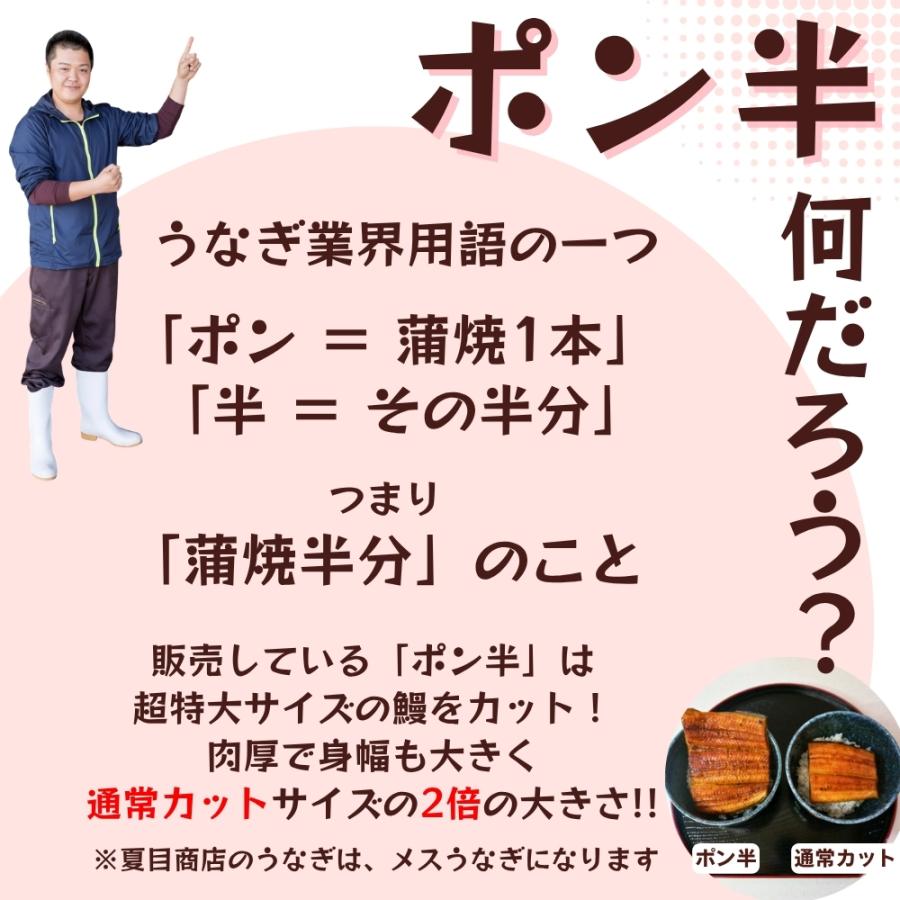 新発売 お中元 2026 ギフト プレゼント 酒まんじゅう 4個と うなぎ 蒲焼き 特大カット（ポン半） 110-130g×1袋 約1人前  爆買 | 豊橋うなぎ 夏目商店 | 01