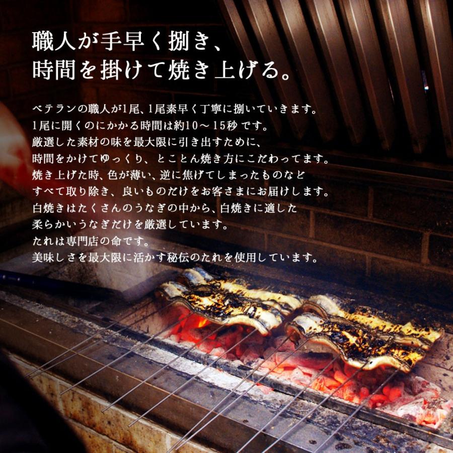 うなぎ 白焼き 国産 大155-180g×2尾 (大盛2人前) |toyohashiunagi|02
