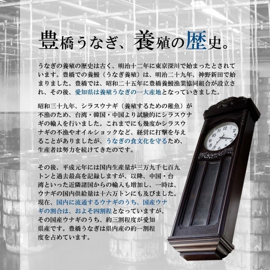 うなぎ 白焼き 国産 大155-180g×2尾 (大盛2人前) |toyohashiunagi|10