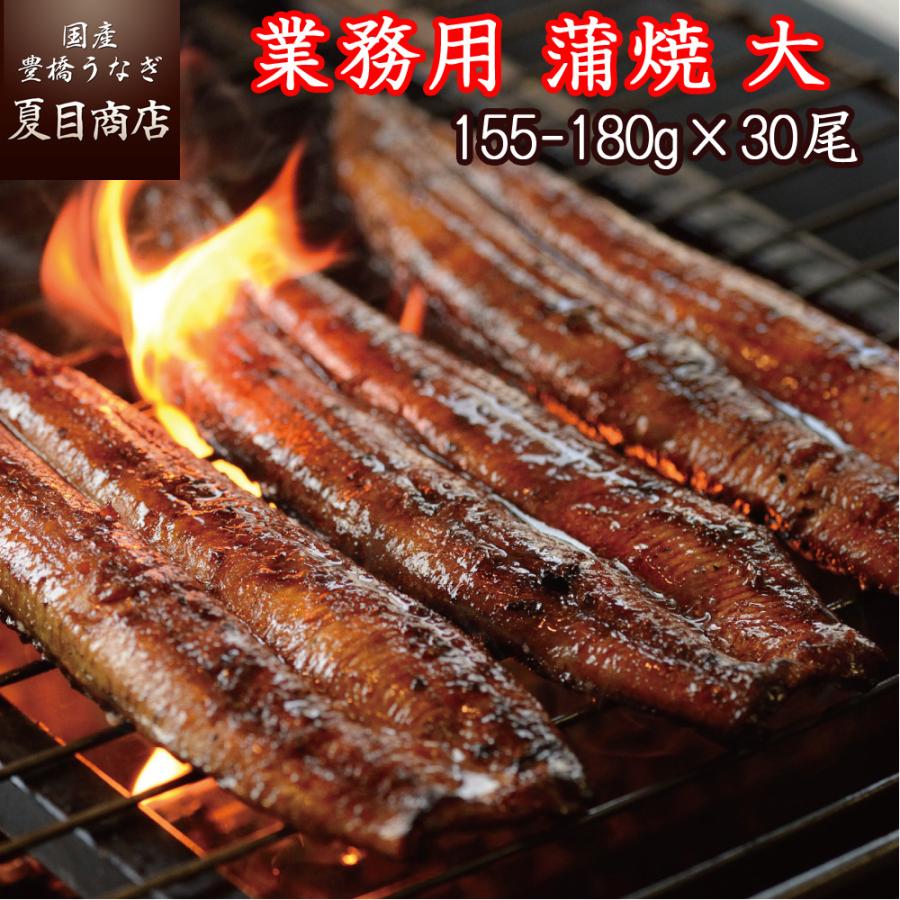 業務用うなぎ蒲焼き 無頭背開き 大 1尾約155 180g 30尾 91 030 01 国産 豊橋うなぎ 夏目商店 通販 Yahoo ショッピング