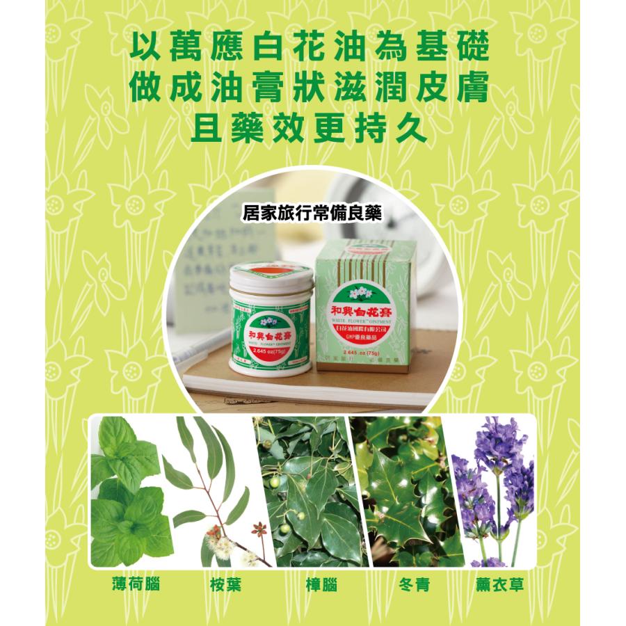 9周年記念イベントが 和興 白花膏 アロマオイル 軟膏缶タイプ 15g 人気 台湾直送 Aynaelda Com