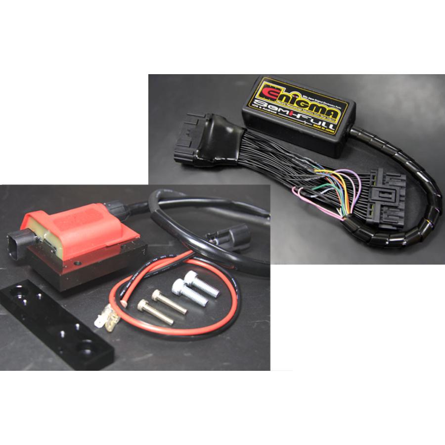 DILTS JAPAN（ディルツジャパン） SEMIFULL WITH GIGA イグニッション