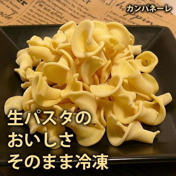 生パスタ パスタ カンパネーレ500g 良質デュラム小麦粉使用 ショートパスタ もちもち 冷凍 イタリアン 45 豊国ヌードルストア 通販 Yahoo ショッピング