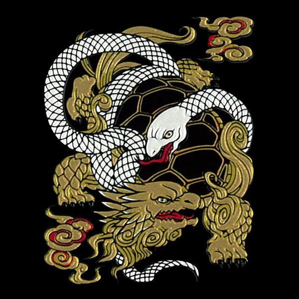 四神玄武　赤銅磨地玄武図縁頭　無銘　金色絵　守護軍神　不老長寿　風水　陰陽道 四神玄武 赤銅磨地玄武図縁頭 無銘 金色絵 守護軍神 不老