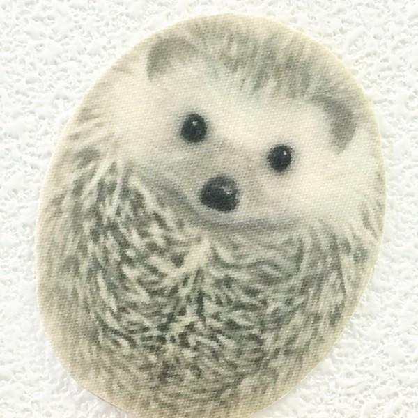 ハリネズミ ウォールステッカー ANIMAL LIFE アニマルライフ