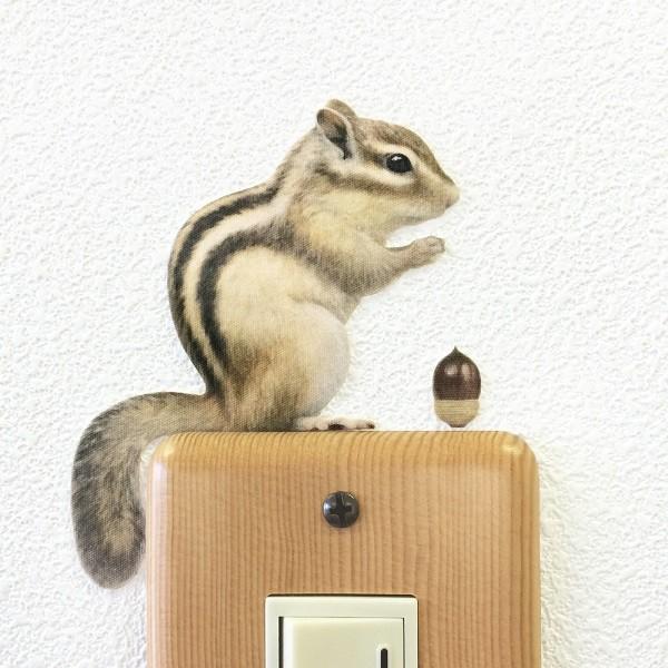 爆売り リス ウォールステッカー Animal Life アニマルライフ シマリス 横向き スイッチ ステッカー Supplystudies Com