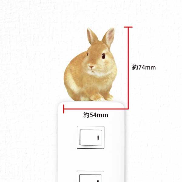 うさぎ カラーウォールステッカー うさぎ 見返り スイッチ ステッカー Ws Al 25c Toyo Labo 通販 Yahoo ショッピング