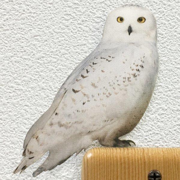 鳥 ウォールステッカー「BIRD L IFE Color バードライフ カラー