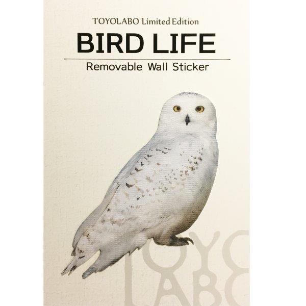 鳥 ウォールステッカー「BIRD L IFE Color バードライフ カラー