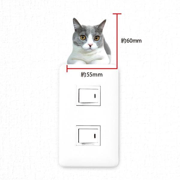カラー ウォールステッカー Cat Li Fe キャットライフ ねこ ブリティッシュショートヘア Ws Cat 12c Toyo Labo 通販 Yahoo ショッピング