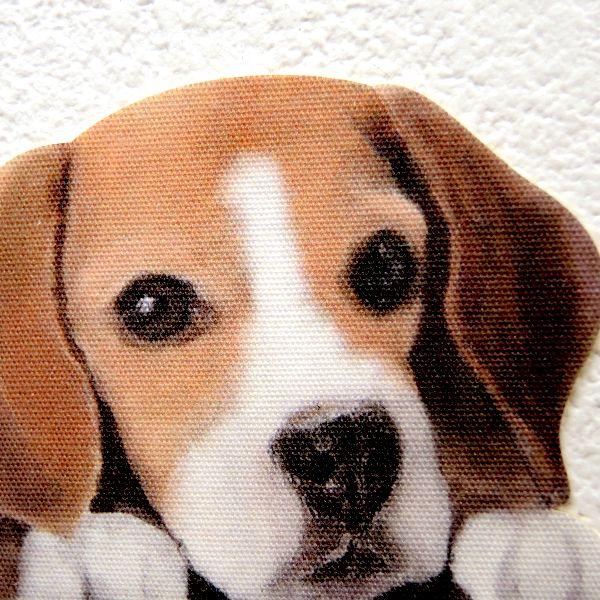 Dog Life Color ドッグライフ カラー ビーグル 犬 カラー ウォールステッカー Ws Dog 16c Toyo Labo 通販 Yahoo ショッピング