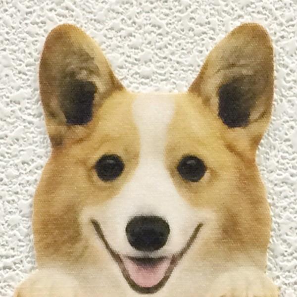 Dog Life Color ドッグライフ カラー コーギーb 犬 カラー ウォールステッカー Ws Dog 17c Toyo Labo 通販 Yahoo ショッピング