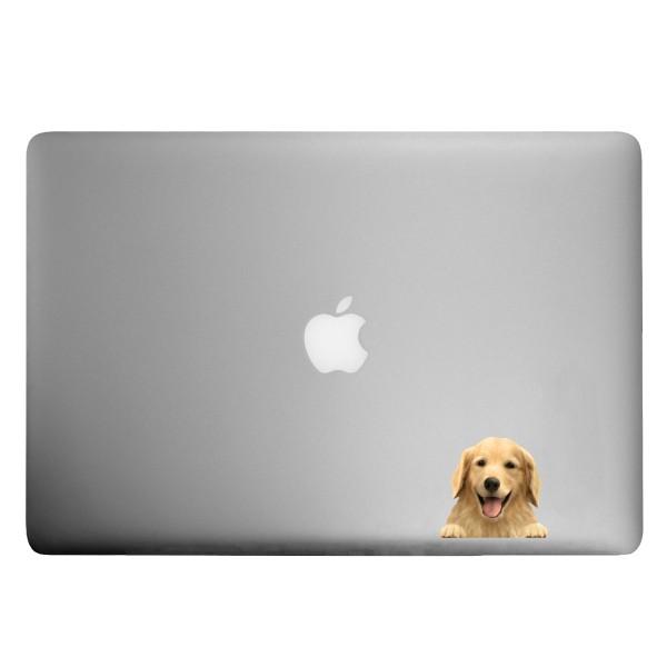 DOG LIFE Color ドッグライフ カラー 「ゴールデンレトリバーB」 犬