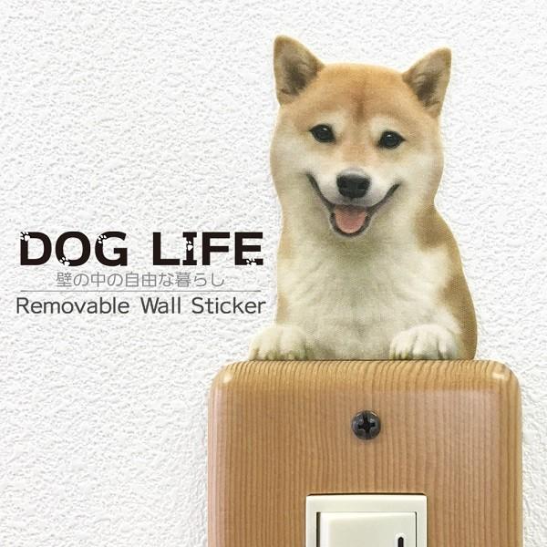 DOG LIFE Color ドッグライフ カラー 「 柴犬　赤毛B」  犬 カラー ウォールステッカー｜toyolabo