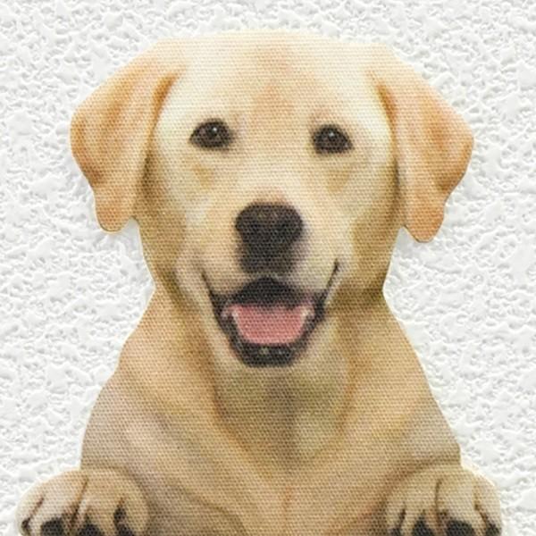 DOG LIFE Color ドッグライフ カラー 「ラブラドールレトリバー」 犬