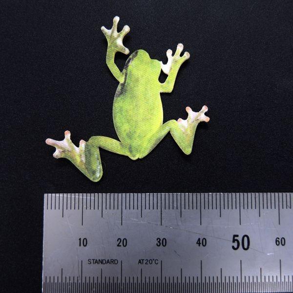かえる カラー ウォールステッカー Frogs フロッグス リアルステッカー アマガエルa カラー Ws Frog 01c Toyo Labo 通販 Yahoo ショッピング
