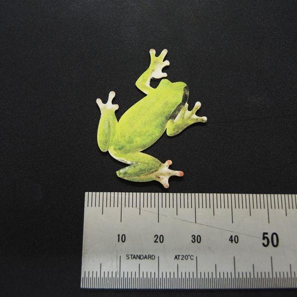 かえる カラー ウォールステッカー Frogs フロッグス リアルステッ カー アマガエルc カラー Ws Frog 03c Toyo Labo 通販 Yahoo ショッピング