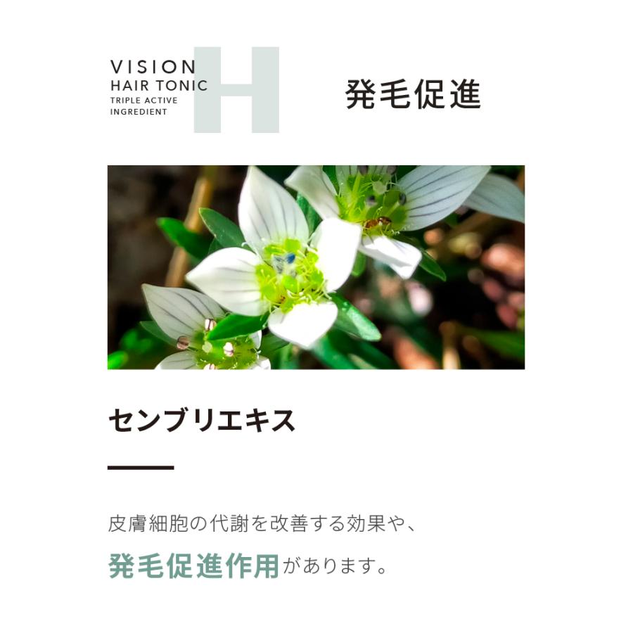 公式 育毛剤 Vision Hair Tonic 1ml 医薬部外品 効能または効果 育毛 薄毛 かゆみ 男性用 メンズヘアートニック スカルプケア Vht001 トーヨーマーケット Yahoo 店 通販 Yahoo ショッピング