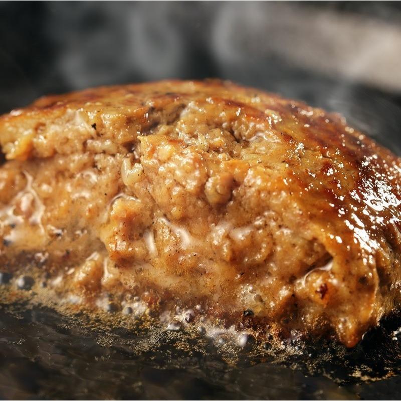 豊西牛100％ハンバーグ　120ｇ　5個　トヨニシファーム　冷凍　お取り寄せ　国産牛　北海道十勝帯広産　赤身肉　十勝産ブランド牛 | 豊西牛 | 02