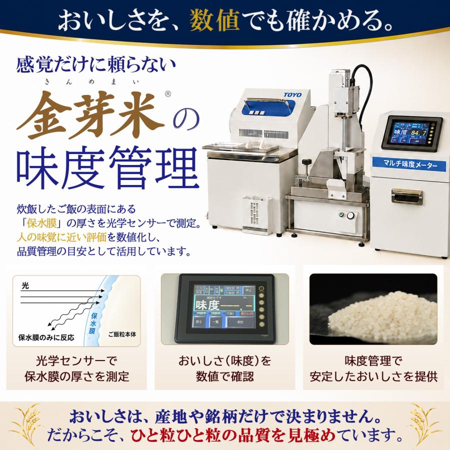 金芽米 公式ストア【玄米の栄養を残したごはん】金芽米【無洗米