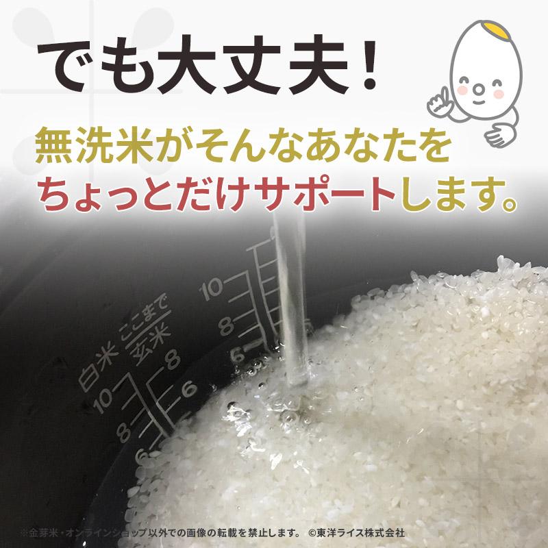 米　コシヒカリ　金芽米　5キロ×3袋 □定期お届け便□ 金芽米 長野県産コシヒカリ 15kg（5kg×3袋） 【送料