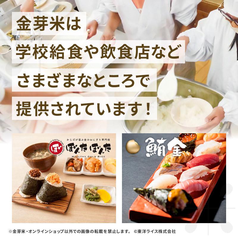 金芽米 無洗米 ベストセレクト 10kg (5kg×2袋) 令和6年産 送料