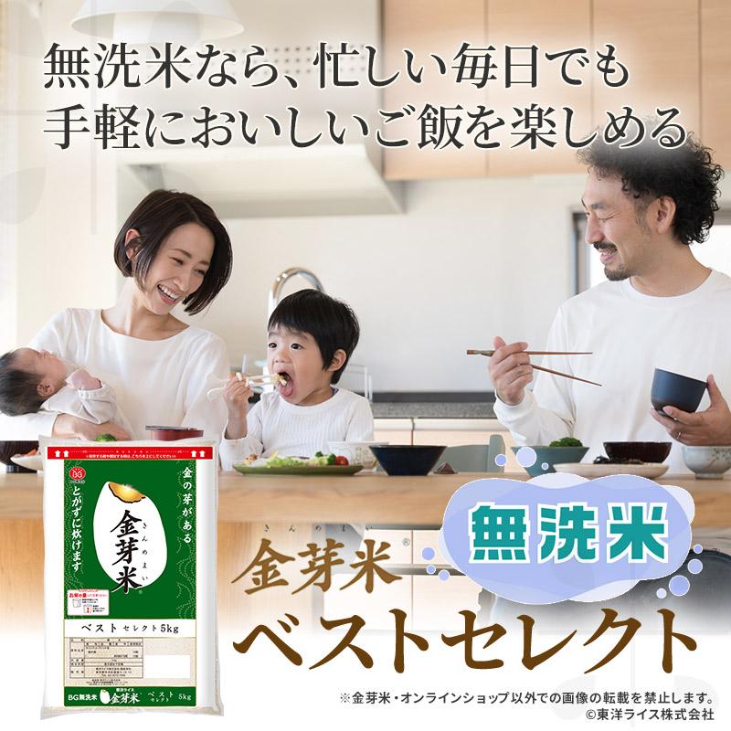 金芽米　10kg 無洗米　オリジナルブレンド米　ベストセレクト　東洋ライス 金芽米 無洗米 ベストセレクト 10kg (5kg×2袋) 令和6年産 送料