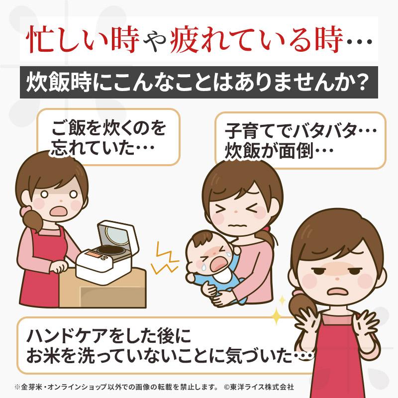 金芽米 公式ストア【無洗米】金芽米ベストセレクト 10kg (5kg×2袋