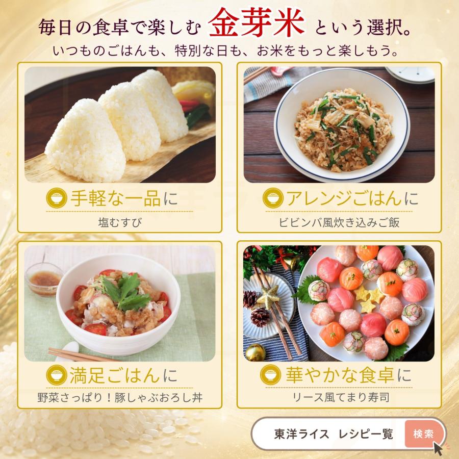 金芽米 公式ストア【無洗米】金芽米ベストセレクト 10kg (5kg×2袋