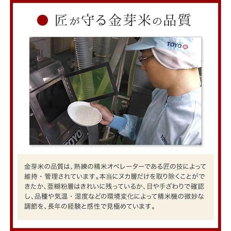 金芽米 無洗米 令和5年産　長野県産 コシヒカリ 5kg 送料無料 きんめまい　コメ　おこめ　ごはん　｜toyorice｜10