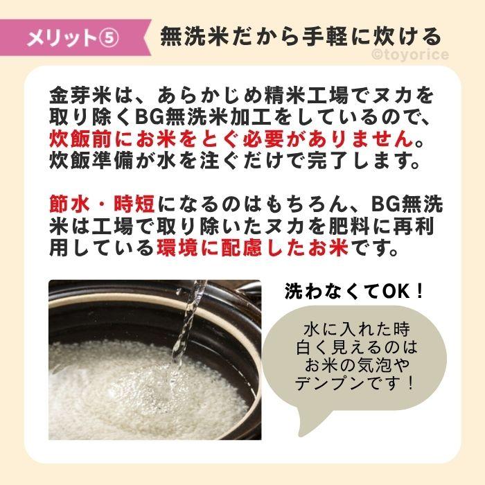 金芽米 □ポイント15倍□公式ストア【玄米の栄養を残したごはん】金芽