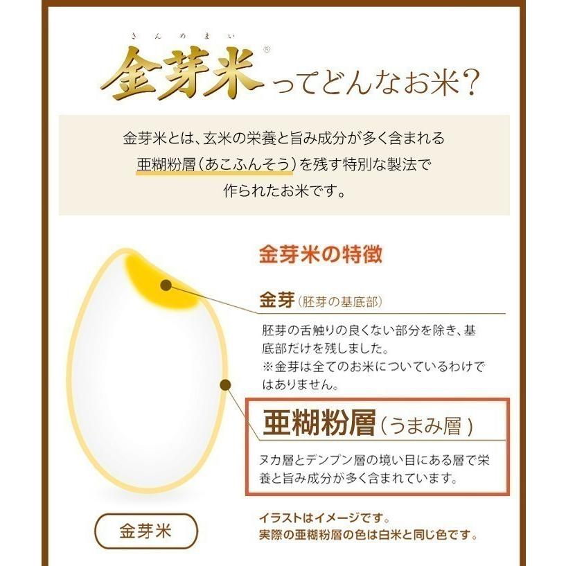 金芽米 無洗米　令和5年産 長野県産 コシヒカリ 10kg (5kg×2袋) 送料無料 きんめまい 米　コメ　おこめ　ごはん　｜toyorice｜04